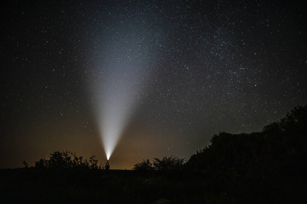 Homem com lanterna acesa iluminando a floresta